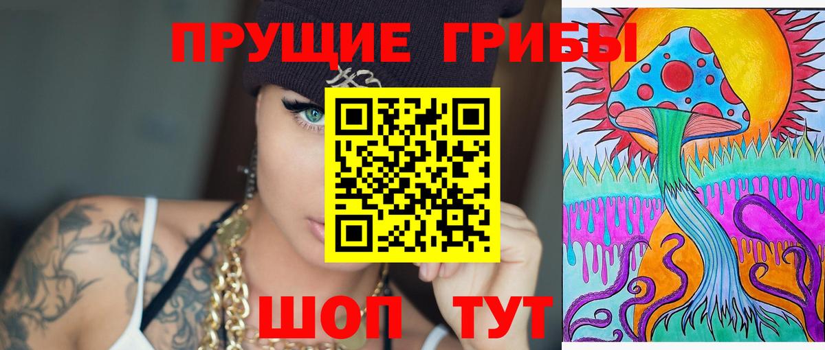 Галлюциногенные грибы Psilocybine cubensis Балашиха